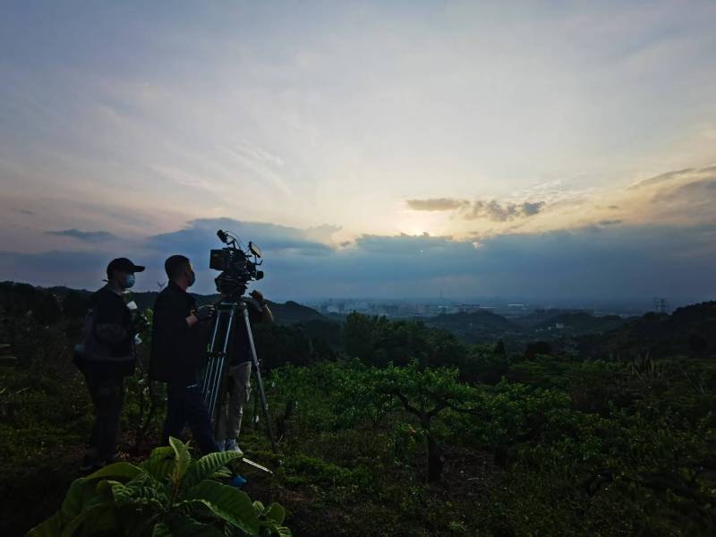 聚焦建阳市产品宣传视频拍摄公司，用专业实力铸就品牌传播传奇