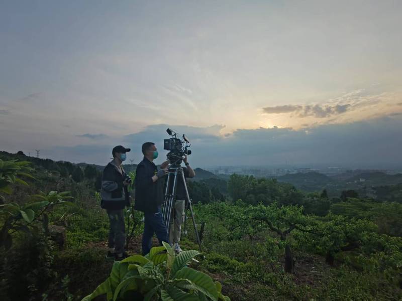 创意破圈！建阳市电商产品宣传视频用故事化叙事引爆流量