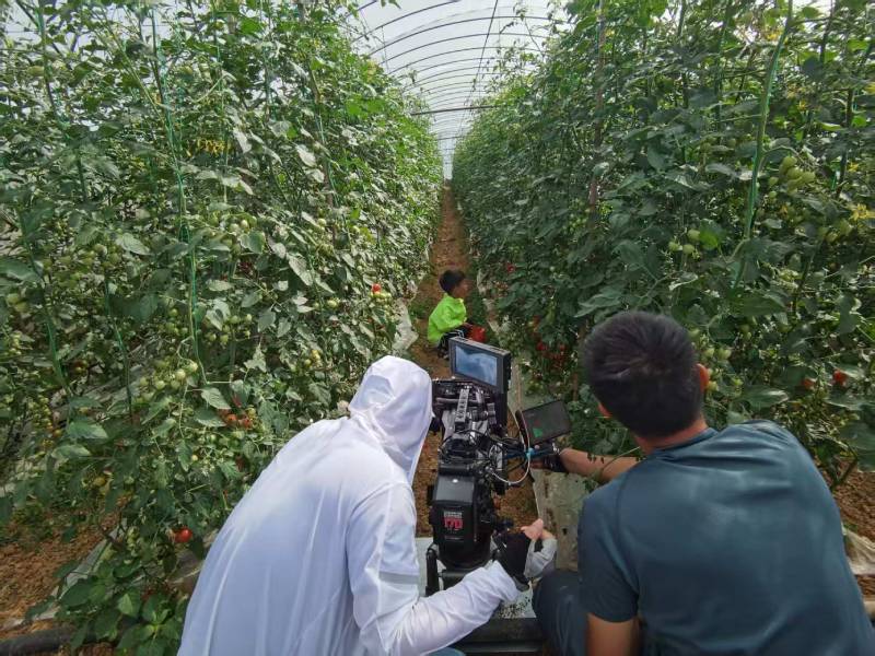 建阳市产品宣传视频拍摄公司进阶指南，助力品牌抢占传播高地